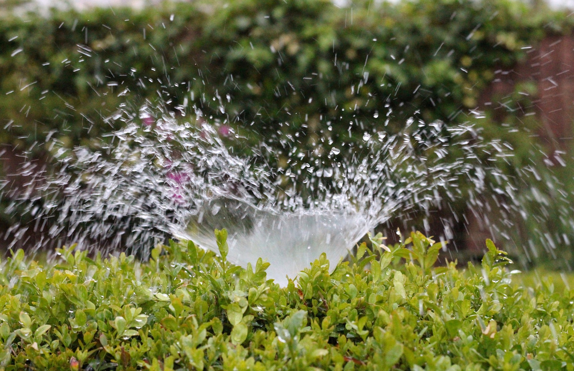 irrigation-2402568_1920