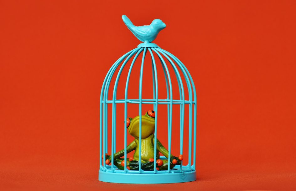5 Things To Look For In A Bird Cage Mat Figure 8
