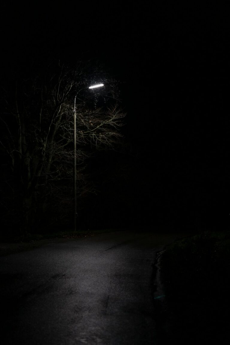view of empty road under light post