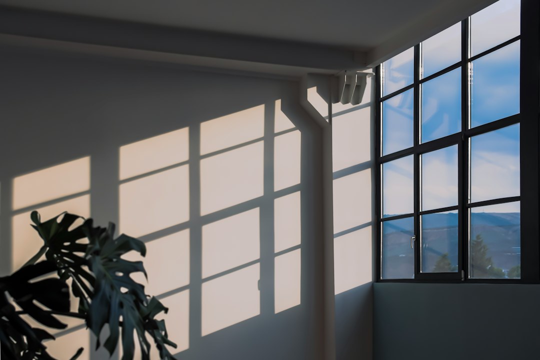A monstera plant casting shadows from a window onto a white wall